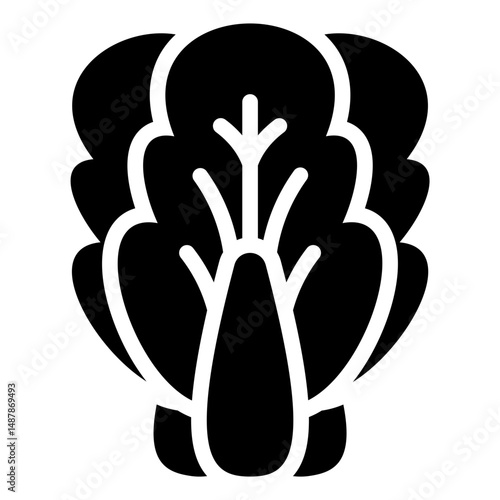 Bok Choy
