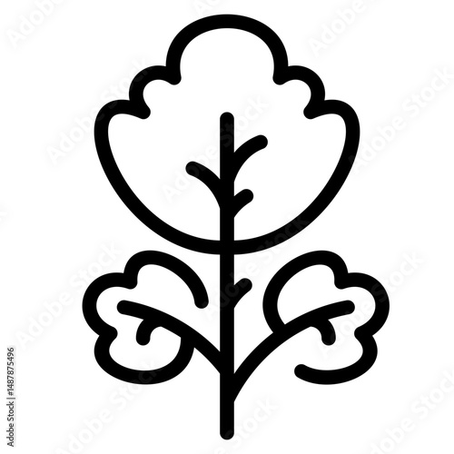 Parsley