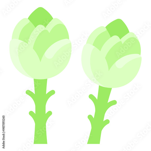Asparagus