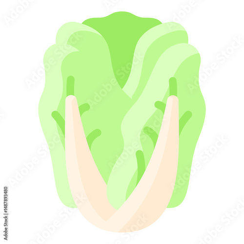 Chinese cabbage