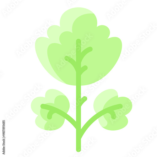 Parsley
