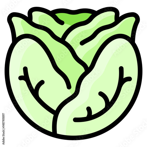 Cabbage