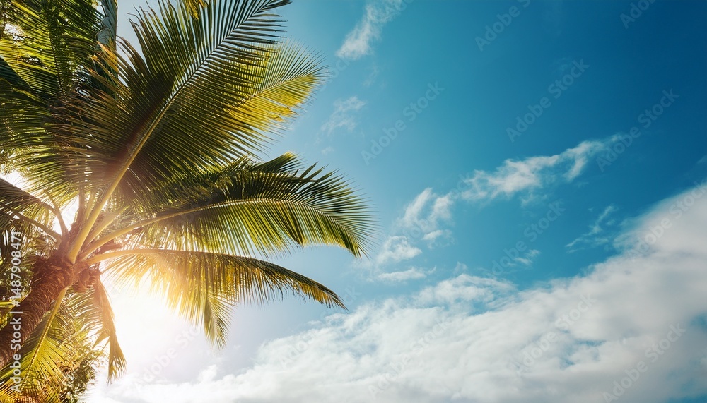 © Jaxon - copy space of tropical palm tree with sun light on sky background