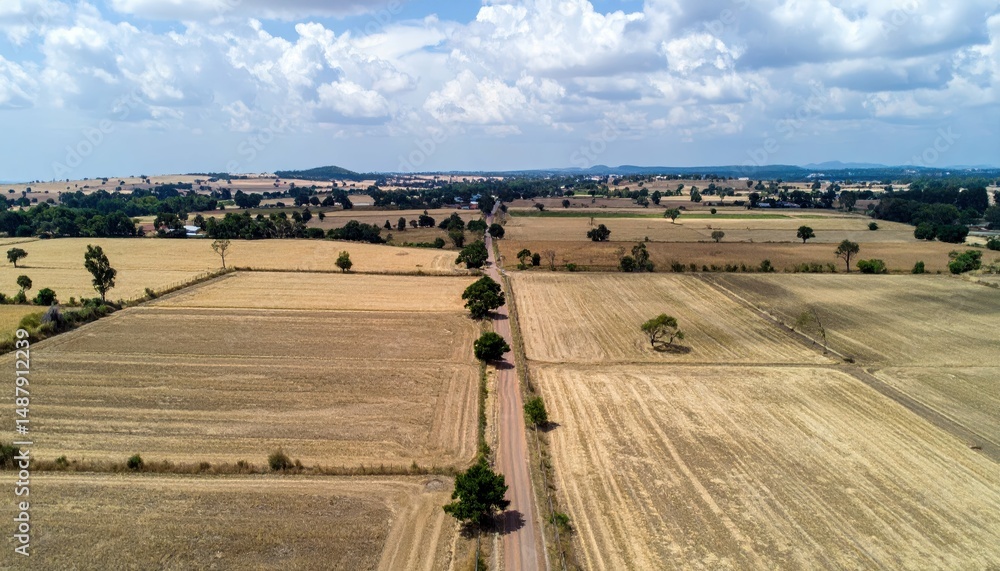 Obraz premium Aerial View of Drought-Stricken Agricultural Land with Empty Fields