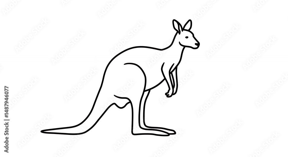 Fototapeta premium Line art kangaroo illustration