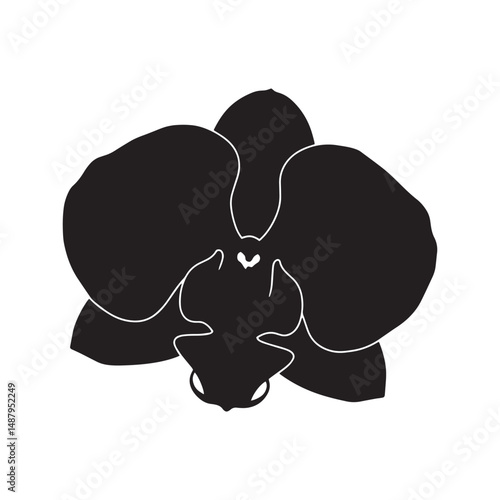 Orchid Flower Petal Silhouette Vector Design for Botanical Art and Prints