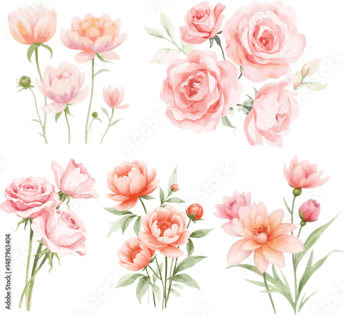 Collection of Delicate Watercolor Peach and Pink Roses and Peonies Floral Arrangements