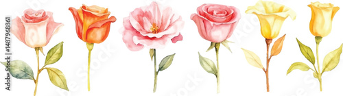 Wallpaper Mural Collection of Watercolor Pastel Roses and Calla Lilies Botanical Illustration Torontodigital.ca