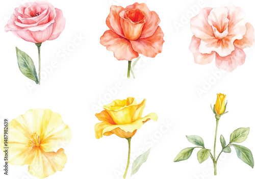 Wallpaper Mural Collection of Watercolor Pastel Roses and Flowers Isolated on White Background Torontodigital.ca