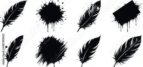 vector set of feathers white background