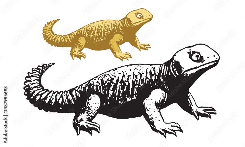 Obraz premium Sanda animals illustration art golden, yeloow colour, black and black white sanda lizard vector- Sanda Eating Saudi Arabia. Kofiler Shanda