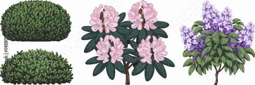 Vector sheet with stylized icons of boxwood, rhododendron, and lilac bushes – Perfect for plant ID guides, nature apps, or floral designs