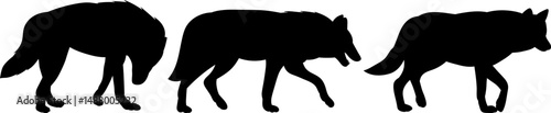 wolves walking one after another silhouette, vector
