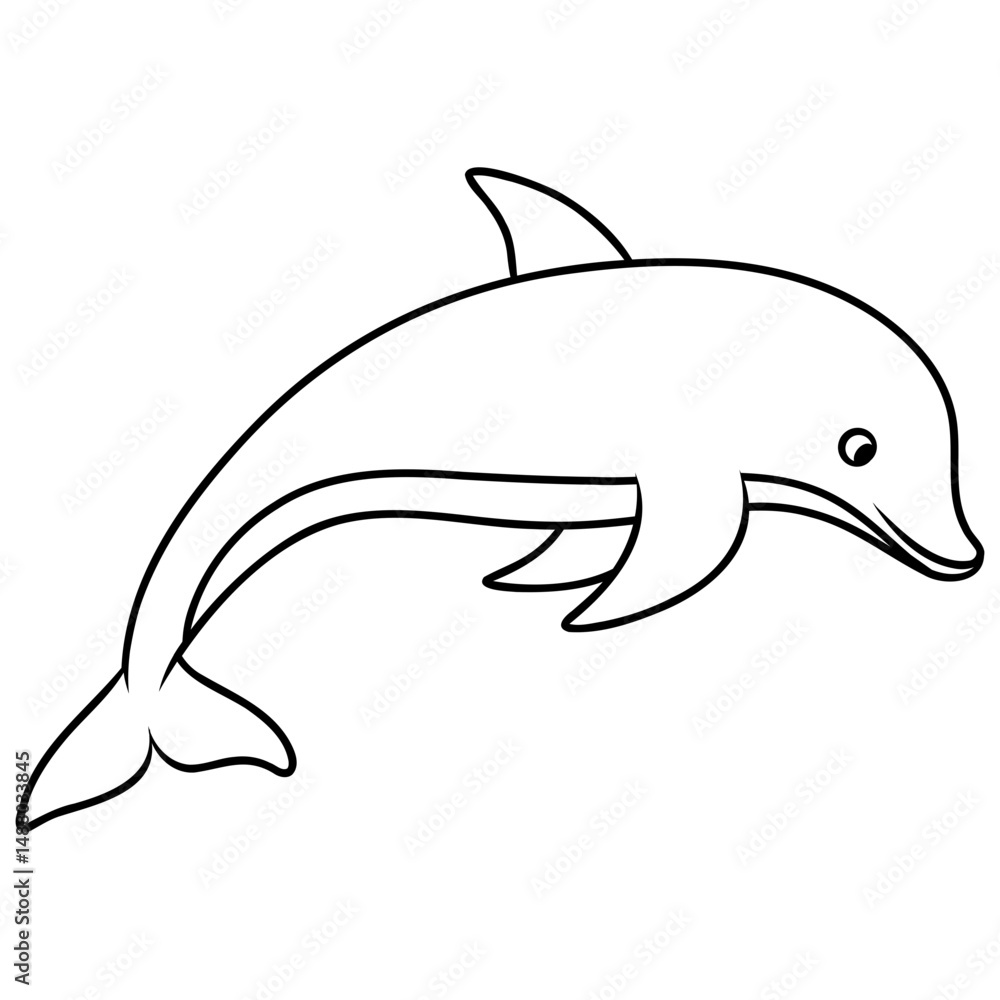 Fototapeta premium dolphin animal marine