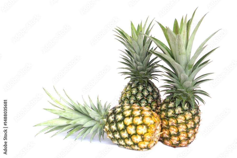Fototapeta premium Fresh organic pineapple fruit, perfectly ripe, isolated on white background. Concept, tropical fruit with sweet and slightly sour taste, symbol of summer, freshness, and agriculture crop. 