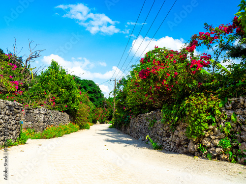 ブーゲンビリアの咲く竹富島（沖縄県竹富町）