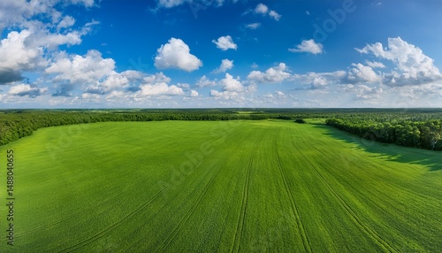 beautiful grassy field with a blue sky and white clouds in the background the green meadow is seen from above creating an endless horizon