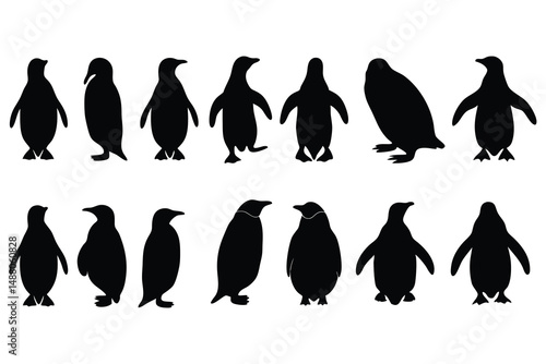Collection of Penguin Silhouettes in Various Poses