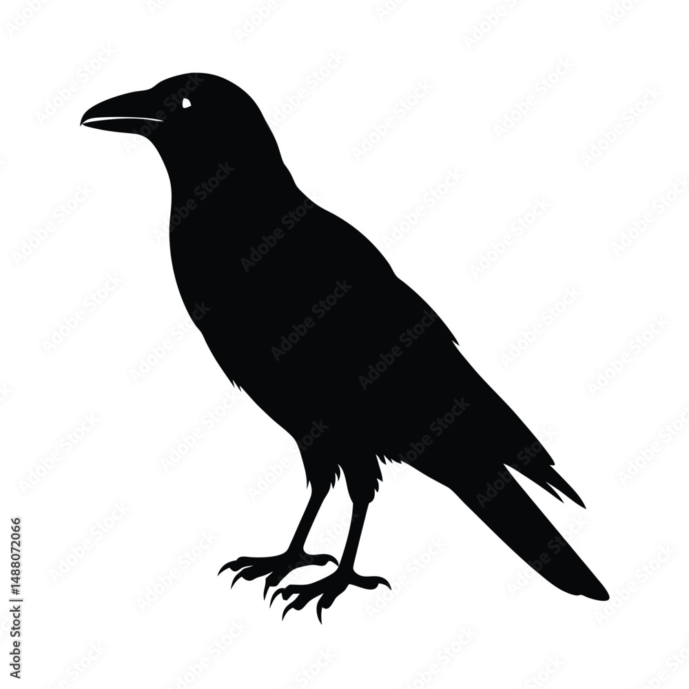 Fototapeta premium Raven Perched Beak Vector Silhouette