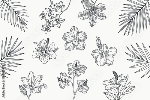set of tropical flowers collection orchids, hibiscus, plumeria and palm leaves in a trendy minimalist line art style, vector