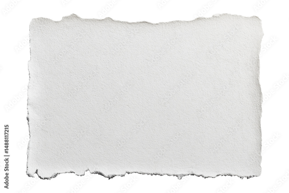 Obraz premium blank textured piece of torn paper with rough edges