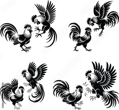 Cockfighting , Chicken, Farm Animal