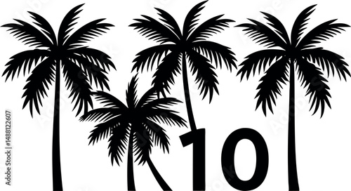 palm trees silhouette set collection 