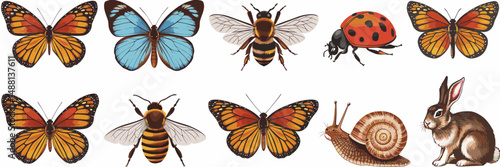 Vector sheet of butterflies, bees, ladybug, snail, and rabbit on white – Great for spring-themed crafts, children’s designs, or educational content