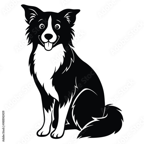 Isolated Sitting Border Collie Artwork