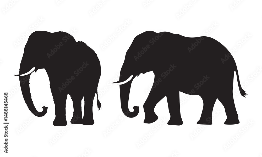 Fototapeta premium elephant silhouette vector