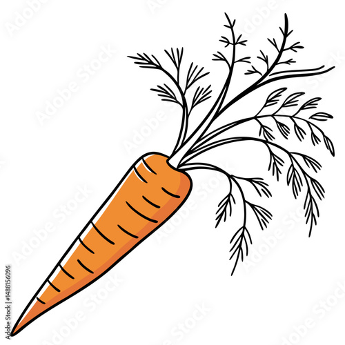 Fresh orange carrot with green tops illustration