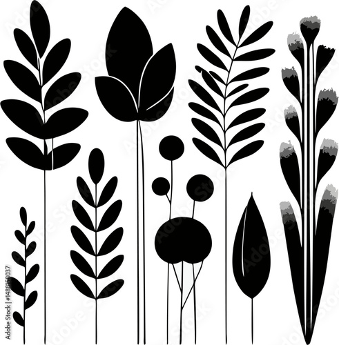 A collection of abstract black botanical silhouettes displayed on a clean white background. 