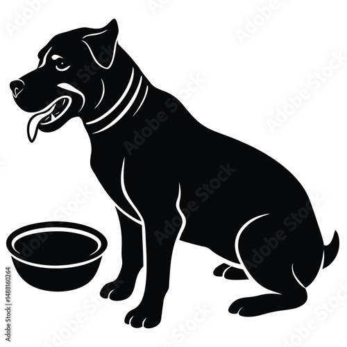 Excited White Samoyed Begging Pose