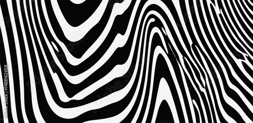 Vector illustration features dynamic black and white wavy lines in an abstract, optical art style. It channels a modern, bold look that’s popular in current minimal and graphic design trends.
