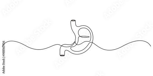 Stomach one continuous line drawing anatomy concept on white background. Single line art stomach minimalism vector illustration