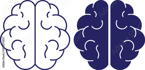 brain, cerebrum, mind, neural network, cognitive function, intelligence, thought, consciousness, problem-solving, decision-making