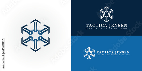 The logo features six arrows radiating from a central star, incorporating the initials TJ. This design symbolizes integrated data, global analytic, and the platform's ability to analyze worldwide data
