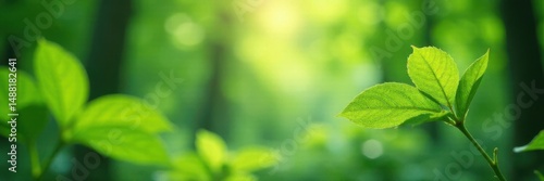 Soft, blurry green leaves, dappled sunlight, ethereal forest scene, plants, ethereal