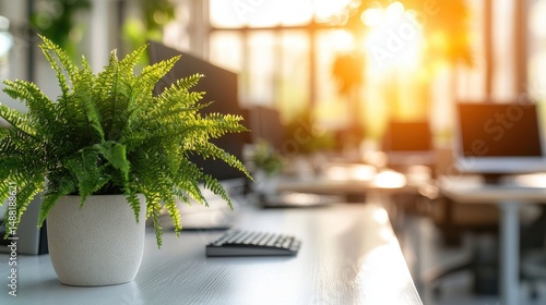 Fresh Green Fern in Modern Office with Warm Sunset Lighting