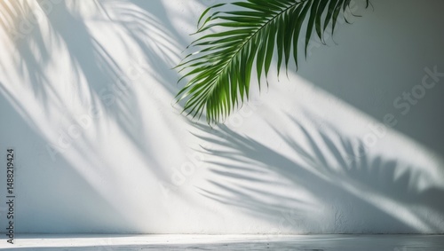 White concrete wall with an abstract blurred backdrop of tropical palm leaves and their shadows.