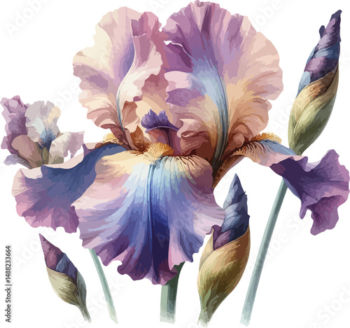 Iris flower, watercolor clipart, isolated vector illustration
