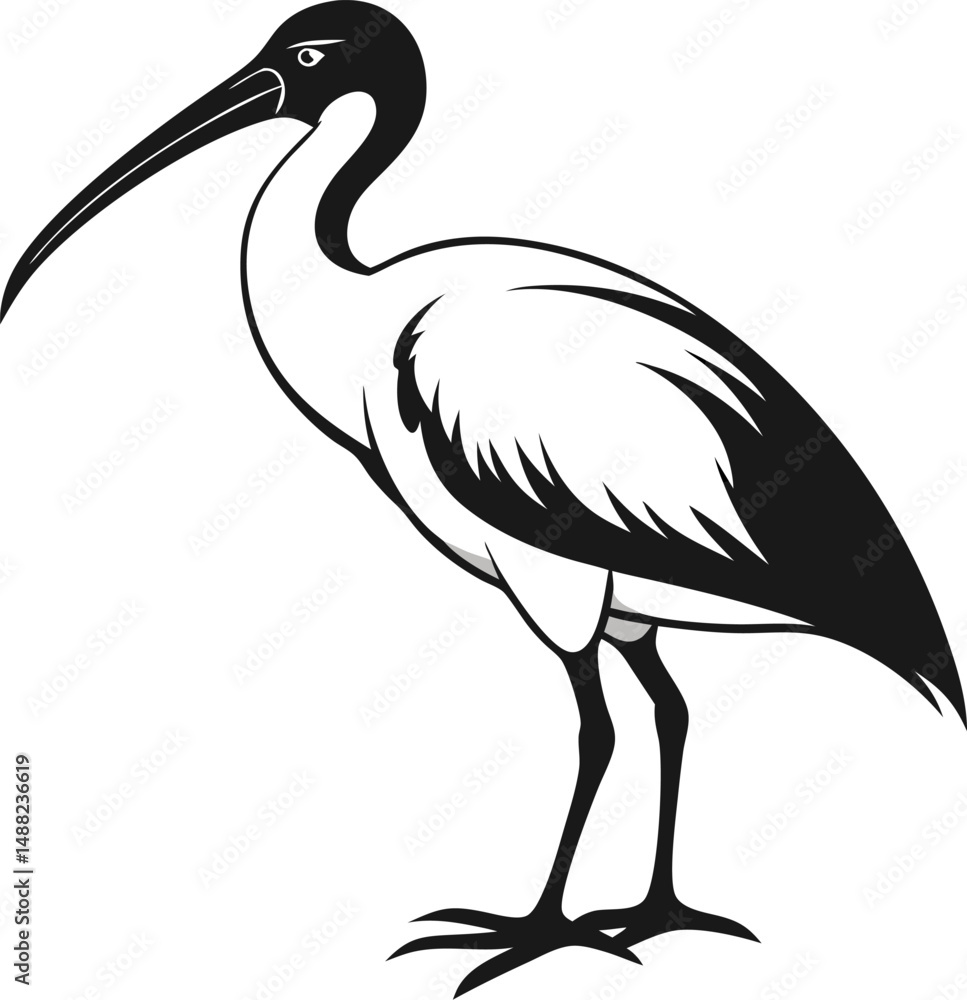 Fototapeta premium heron silhouette isolated on white background