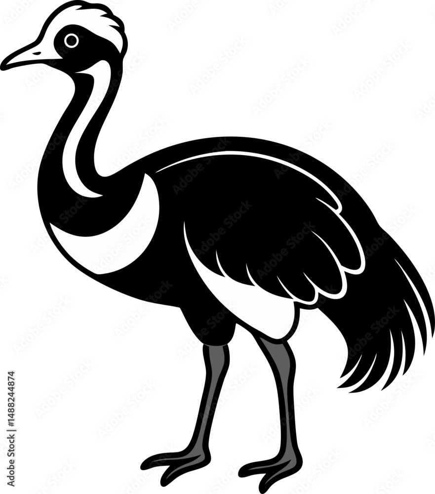 Obraz premium ostrich cartoon isolated on white