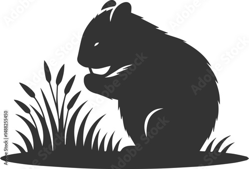 Wild animal vector silhouette wombat black drawing