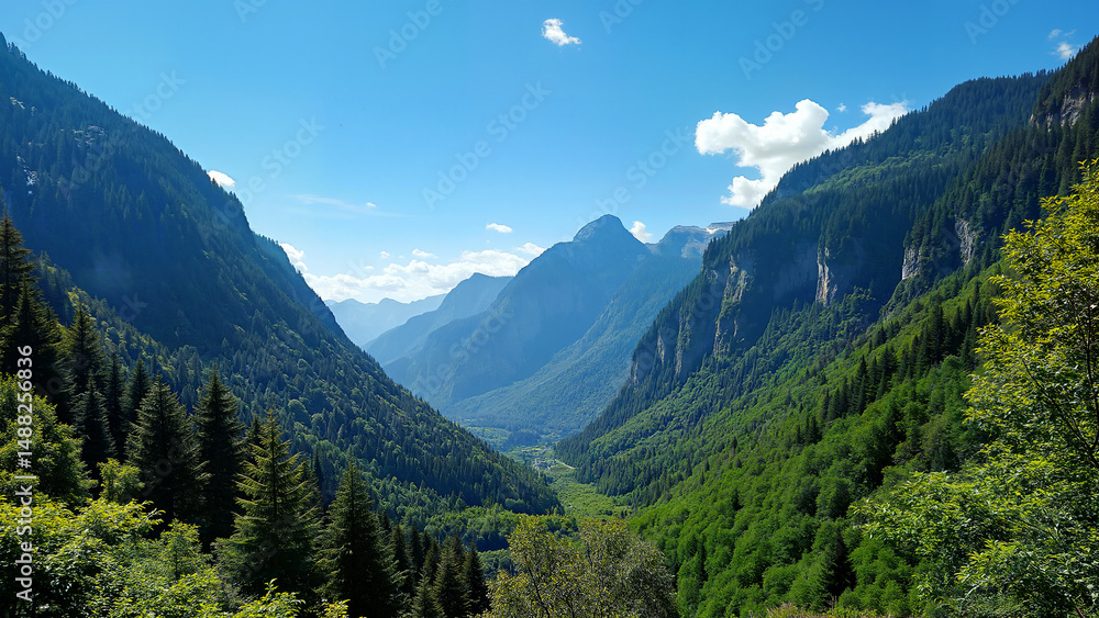 Fototapeta premium Green valley landscape with coniferous trees. Suitable for nature, travel, and national park themes in visual projects.