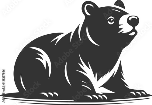 Wild animal vector silhouette wombat black drawing