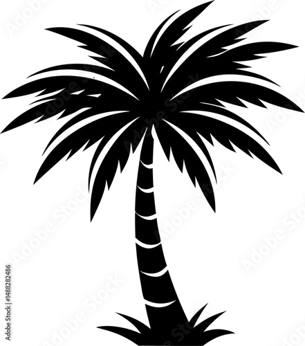 silhouette of palm tree