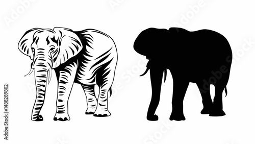 Illustration of an elephant with detailed line work and a solid black silhouette of an elephant side by side editable vector eps/eps