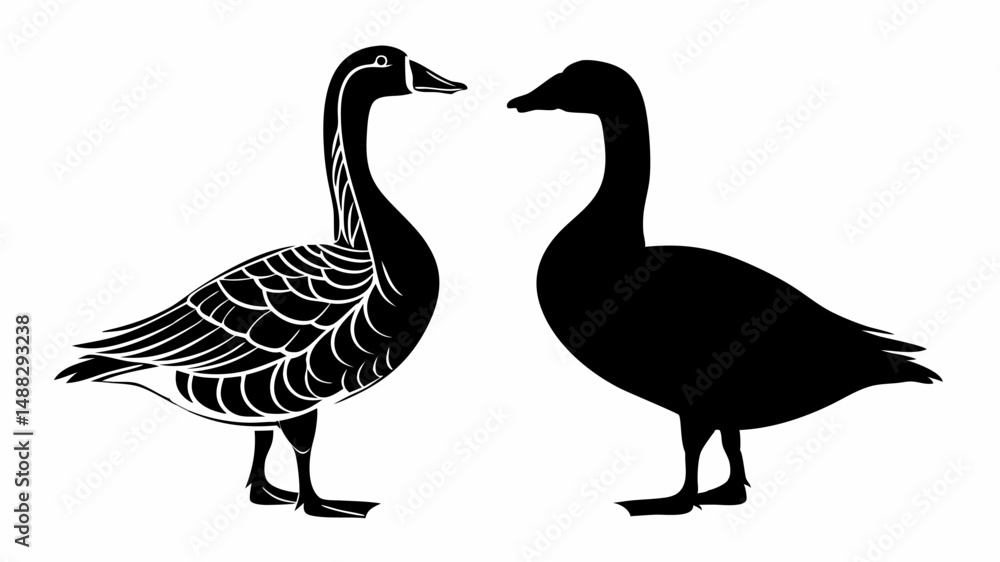 Two geese facing each other one with detailed feathering and the other in solid black silhouette style editable vector eps/eps Two geese facing each other one with detailed feathering and the other in solid black silhouette style editable vector eps/eps