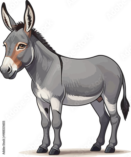 Donkey Animals Illustration and Vector